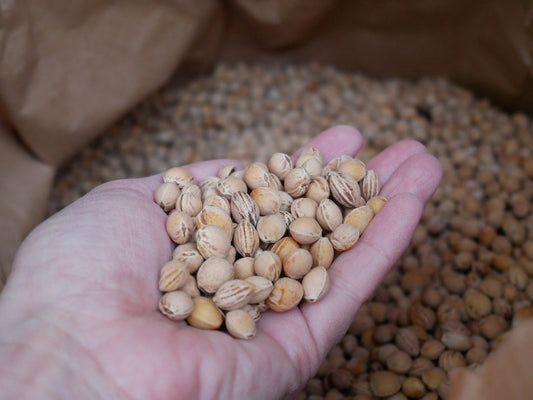 Warum Kirschkerne die beste Füllung für Zugluftstopper sind